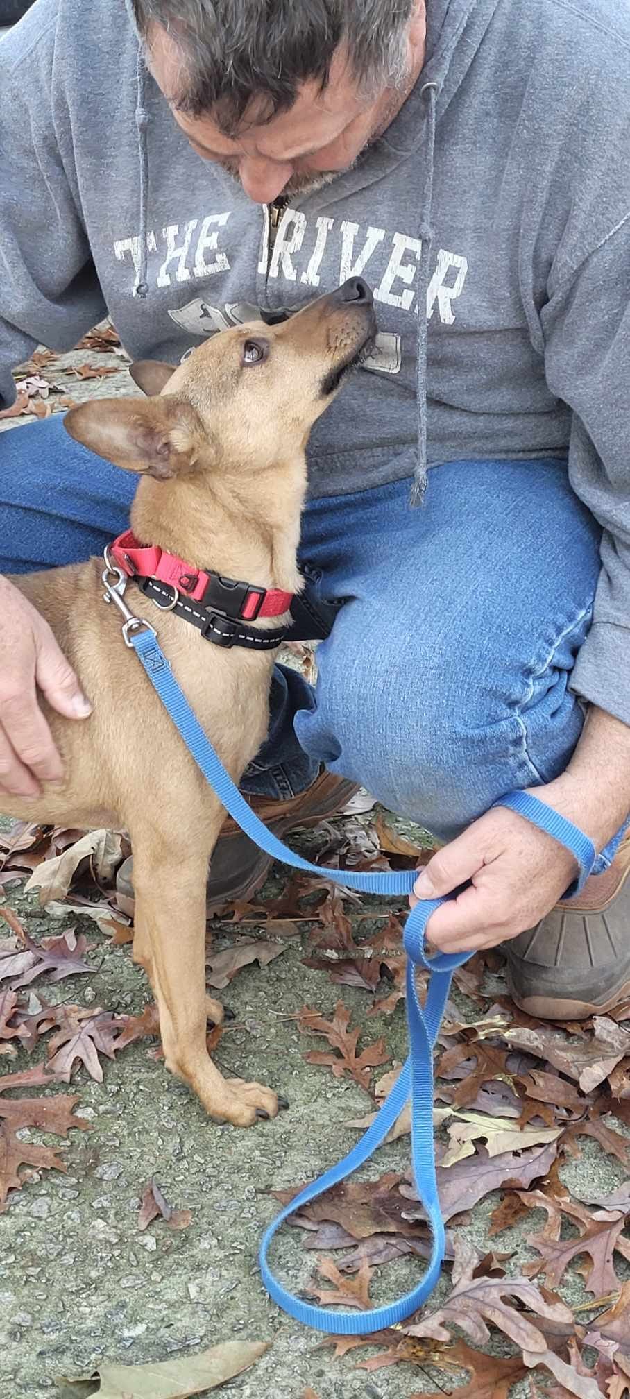 Il était temps de se dégourdir les pattes......