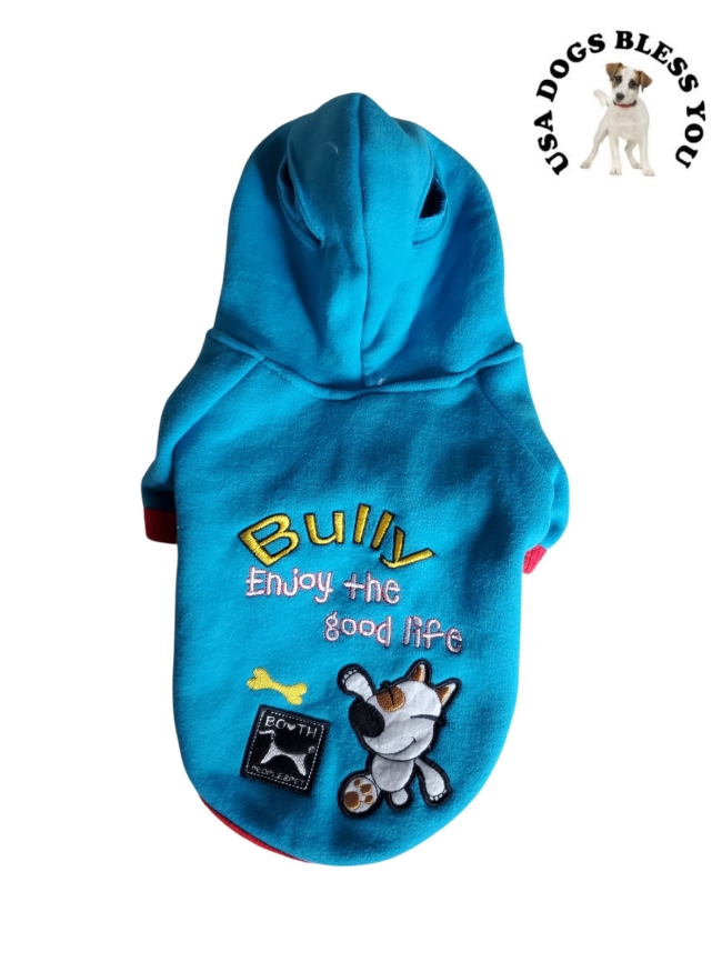 080 - Pull bleu avec capuche 