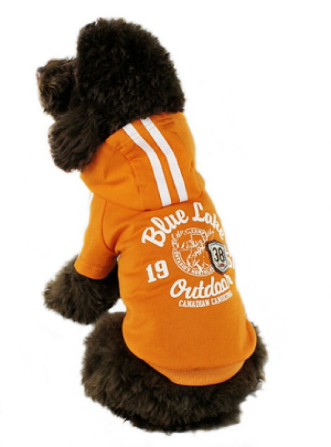 085 - Pull orange avec capuche 